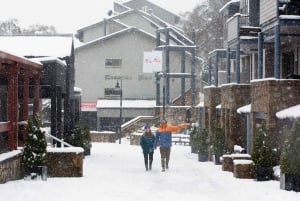 De Sydney: excursão às Montanhas Nevadas de Thredbo