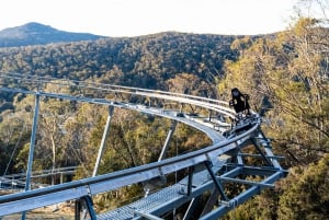De Sydney: excursão às Montanhas Nevadas de Thredbo