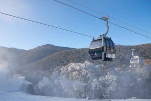 De Sydney: excursão às Montanhas Nevadas de Thredbo