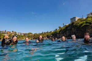 Geführte Schnorchel Tour am berühmtesten Strand Australiens