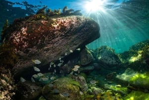 Geführte Schnorchel Tour am berühmtesten Strand Australiens