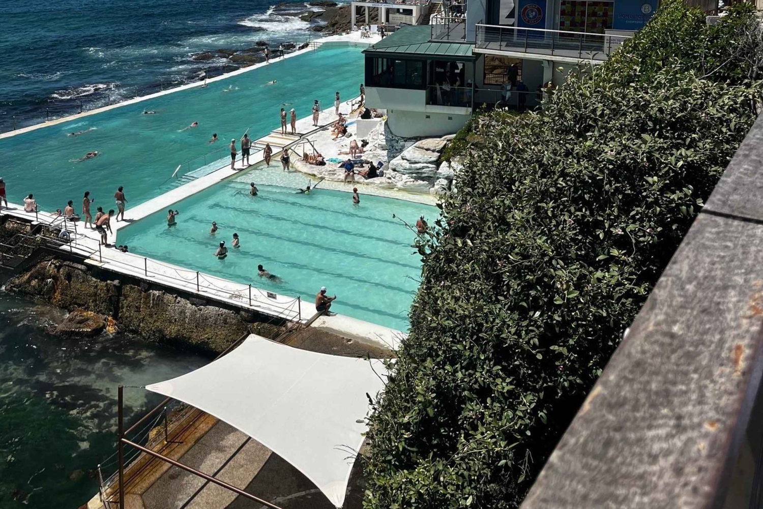 Half Day Small Group : The Story of Sydney Tour