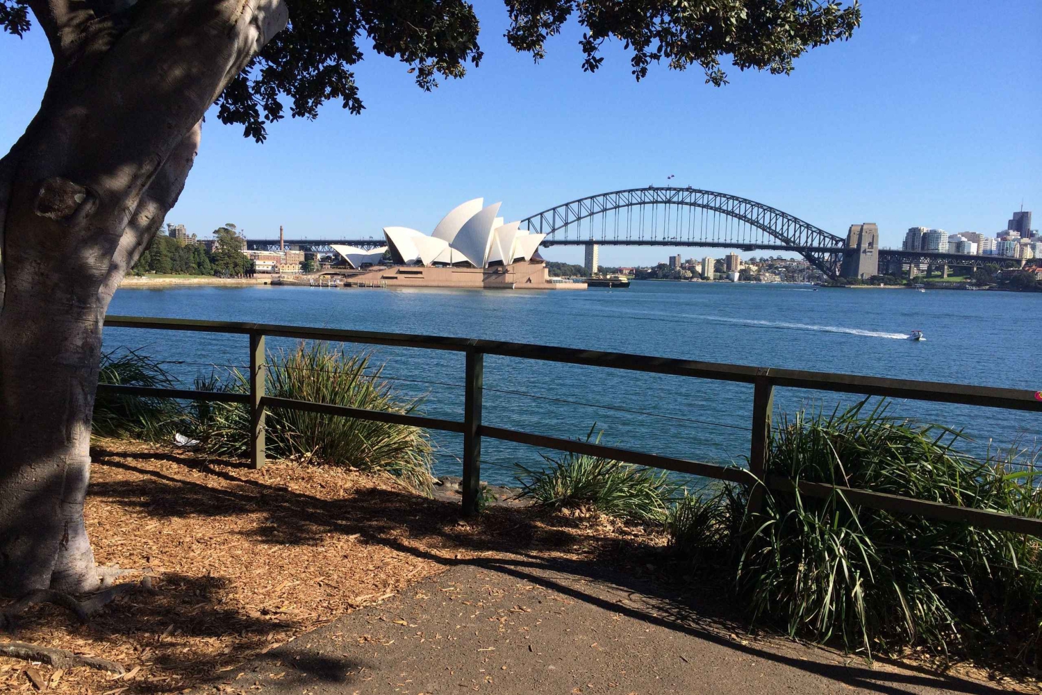 Half Day Small Group : The Story of Sydney Tour