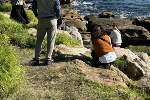 Half Day Small Group : The Story of Sydney Tour