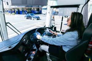 Tour de medio día por Sídney: The Rocks y Bondi Beach