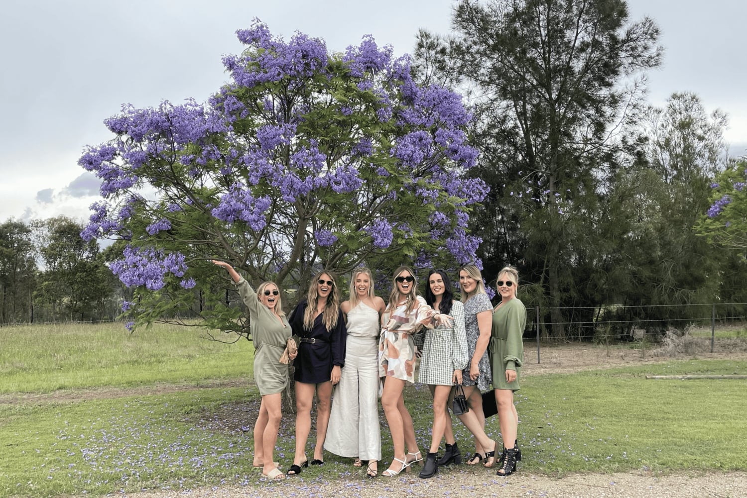 Долина Хантер: частный однодневный тур из Сиднея с вашей командой!