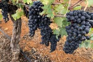 Долина Хантер: частный однодневный тур из Сиднея с вашей командой!