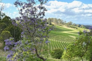 Долина Хантер: частный однодневный тур из Сиднея с вашей командой!