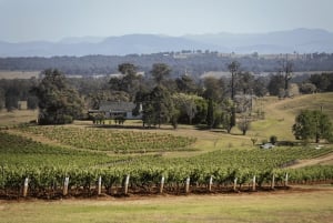 Долина Хантер: частный однодневный тур из Сиднея с вашей командой!