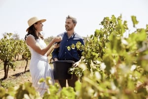 Долина Хантер: частный однодневный тур из Сиднея с вашей командой!