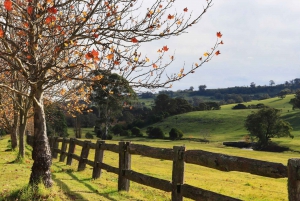 Hunter Valley: Wine, Cheese Chocolate & Wildlife Reserve