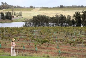 Vale de Hunter: Visita ao vinho, chocolate e almoço com tudo incluído