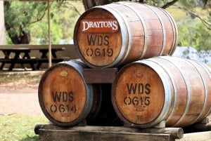 Vale de Hunter: Visita ao vinho, chocolate e almoço com tudo incluído