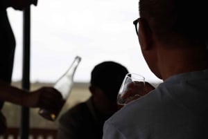 Vale de Hunter: Visita ao vinho, chocolate e almoço com tudo incluído