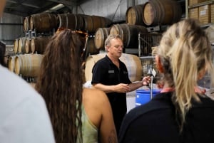 Vale de Hunter: Visita ao vinho, chocolate e almoço com tudo incluído