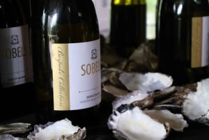 Vale de Hunter: Visita ao vinho, chocolate e almoço com tudo incluído