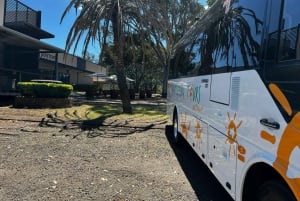 Vale de Hunter: Visita ao vinho, chocolate e almoço com tudo incluído