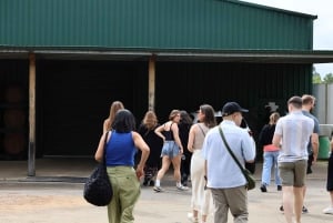 Vale de Hunter: Visita ao vinho, chocolate e almoço com tudo incluído