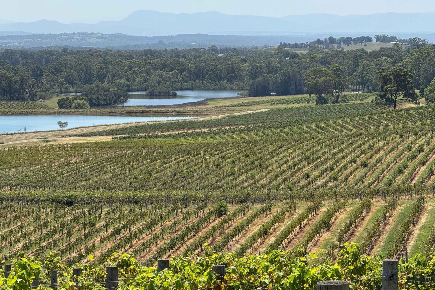 Vinsmagning i Hunter Valley | Privat dagstur | Fra Sydney