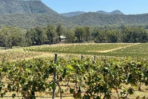 Vinsmagning i Hunter Valley | Privat dagstur | Fra Sydney