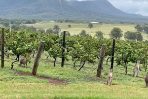 Vinsmagning i Hunter Valley | Privat dagstur | Fra Sydney
