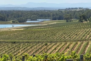 Vinsmagning i Hunter Valley | Privat dagstur | Fra Sydney