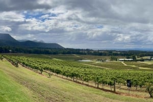 Vinsmagning i Hunter Valley | Privat dagstur | Fra Sydney