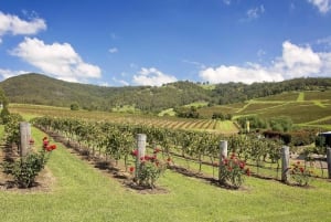 Hunter Valley: wijntour met 3 proeverijen en tuinlunch