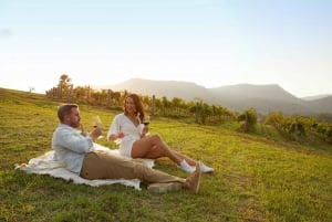 Hunter Valley: Wine Tour com 3 degustações e almoço no jardim