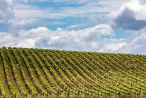 Hunter Valley: tour del vino con 3 degustazioni e pranzo in giardino