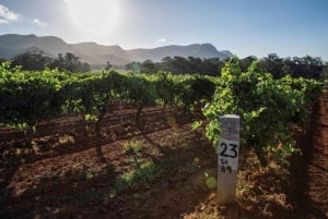Hunter Valley: Viinikierros, jossa on 3 maistelua ja puutarhalounas