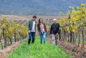 Hunter Valley: Wine Tour with 3 Tastings and Garden Lunch