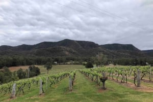 From Haymarket: Hunter Valley Wine and Wildlife Day Trip