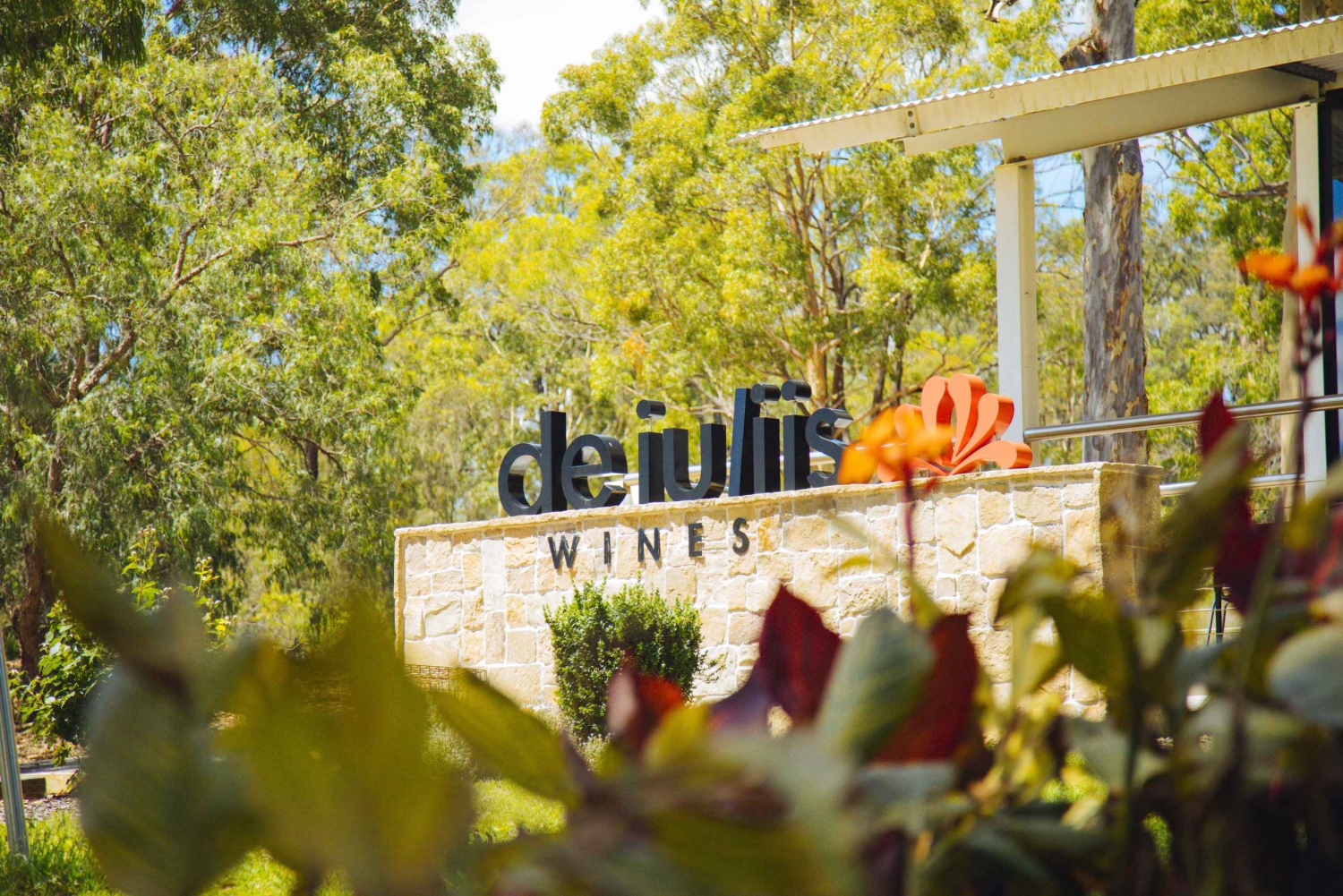 From Sydney: Hunter Valley Wine Tasting Tour with Lunch