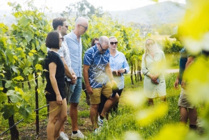 From Sydney: Hunter Valley Wine Tasting Tour with Lunch