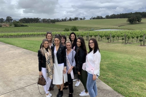 From Sydney: Hunter Valley Wine/Spirit Tasting Tour & Lunch
