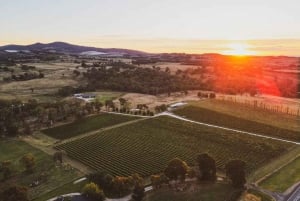 Verwöhne dich mit der Swinging Bridge Vineyard Guided Tour mit Mittagessen