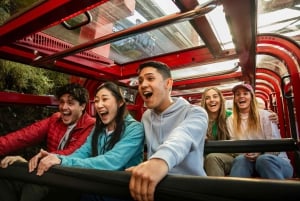 Japanische Tour ab Sydney: Blue Mountains, Scenic World, Zoo