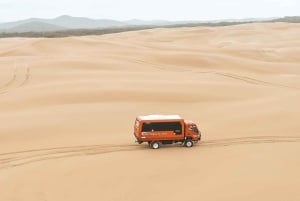 Wycieczka dla Japończyków: Delfiny, koale i sandboarding w Port Stephens