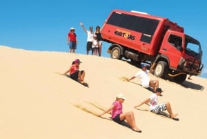 Wycieczka dla Japończyków: Delfiny, koale i sandboarding w Port Stephens