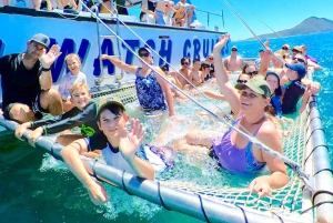 Japanese Tour: Port Stephens Dolphins, Koala & Sand Boarding