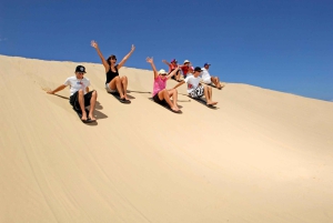 Japanese Tour: Port Stephens Dolphins, Koala & Sand Boarding