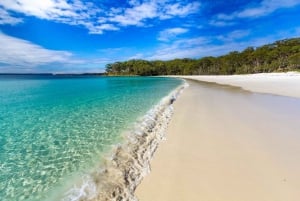 Fra Sydney: Jervis Bay Dolphin Cruise med BBQ-frokost