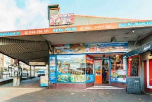 Katoomba: Lyrebird Hop-On Hop-Off og Scenic World Pass