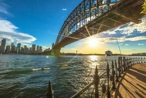Lunsjcruise med livejazz i Sydneys havn