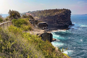 Luxury Sydney Mercedes Escape Tour