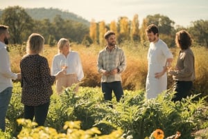 Giro di degustazione di vini di lusso e cucina raffinata da Sydney