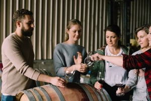 Giro di degustazione di vini di lusso e cucina raffinata da Sydney