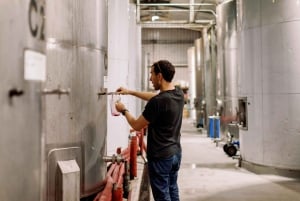 Giro di degustazione di vini di lusso e cucina raffinata da Sydney