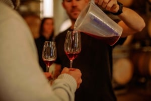 Giro di degustazione di vini di lusso e cucina raffinata da Sydney